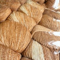 Lana Gatto Merinocot medový dotyk XL – výhodný balíček